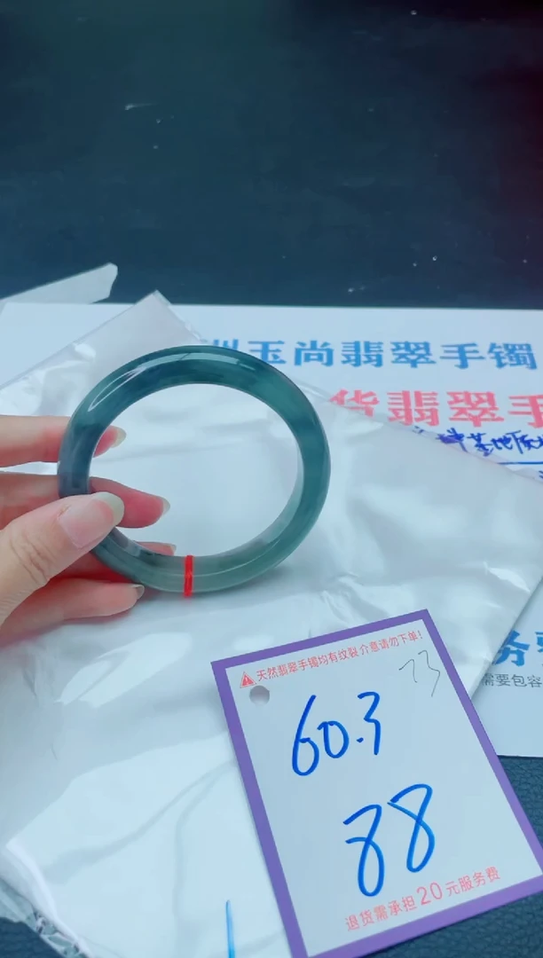 未镶嵌手镯翡翠11111111