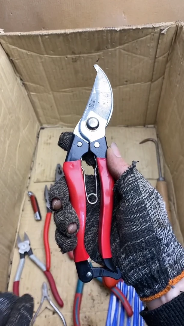 海***港五金园艺农具厨具工具闪购