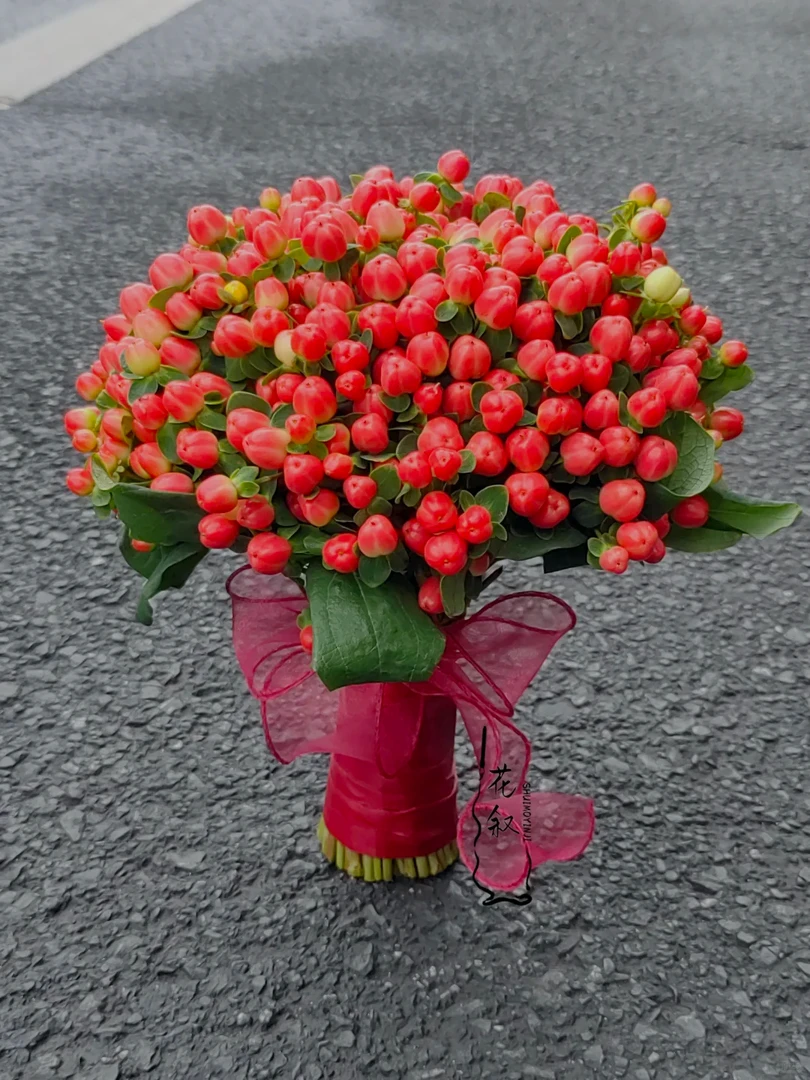 相思豆  收到鲜花第一时间醒花 云南爆品鲜花