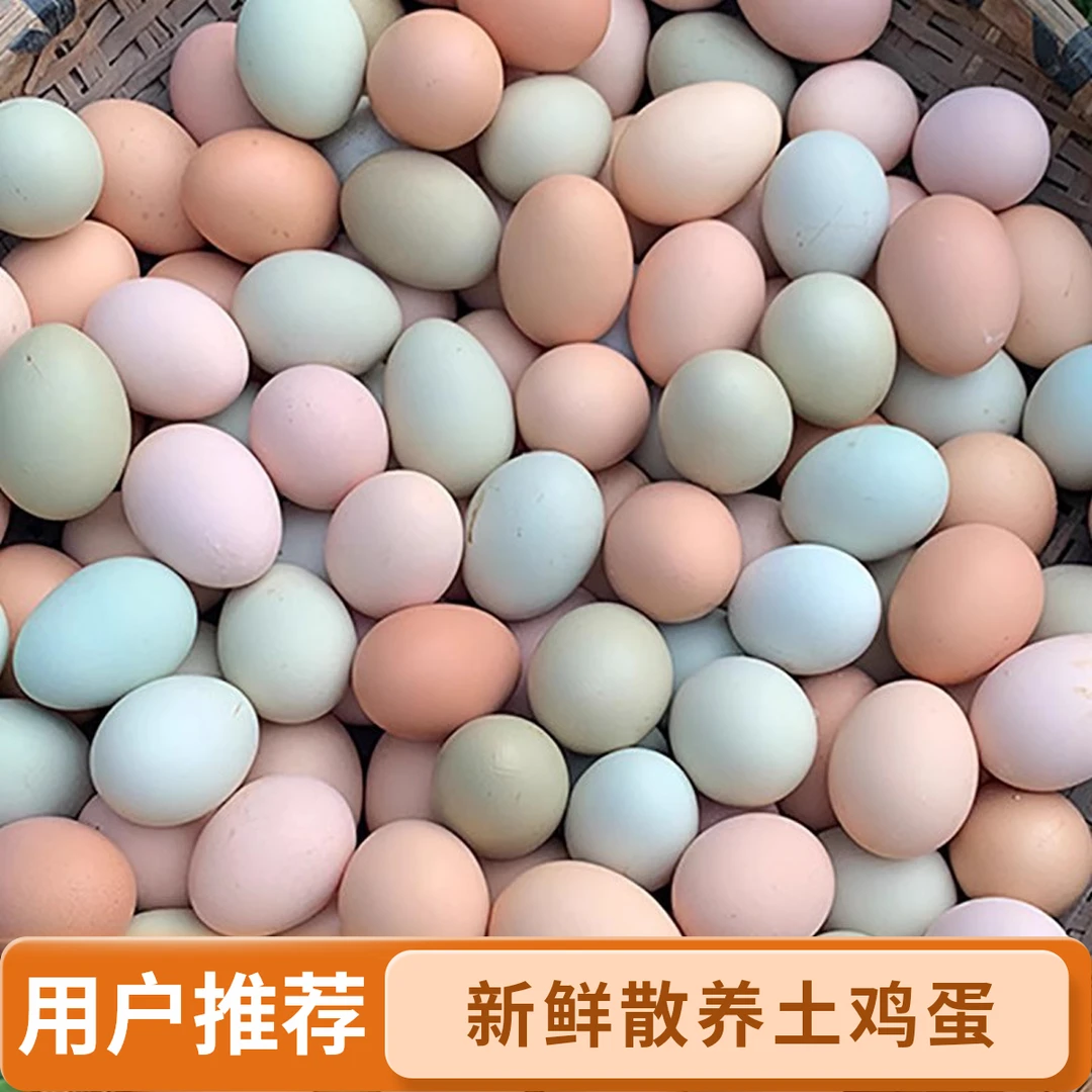 正宗土鸡蛋农家散养新鲜纯农村自养天然草鸡蛋笨鸡蛋绿壳蛋