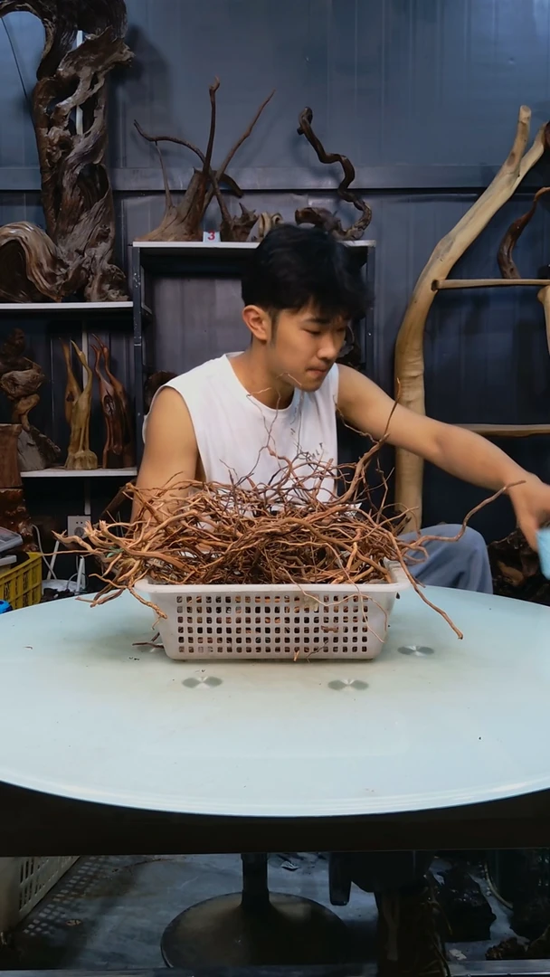 木125龙须跟随机发货清香阁清香阁清香阁