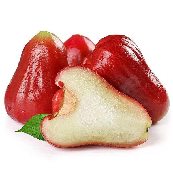 黑金刚莲雾一个