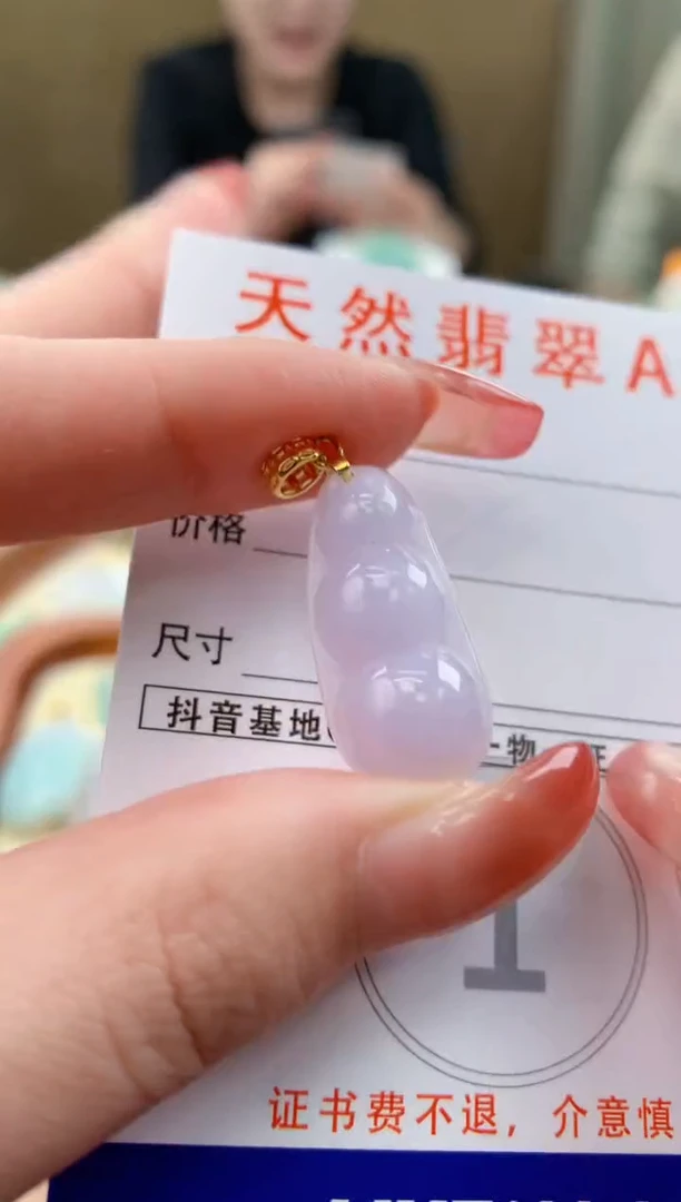 颈饰未镶嵌翡翠天然A货翡翠挂件
