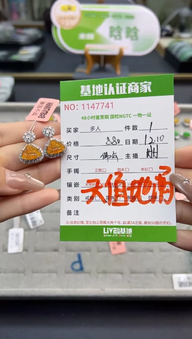 银S925镶嵌翡翠耳饰多人