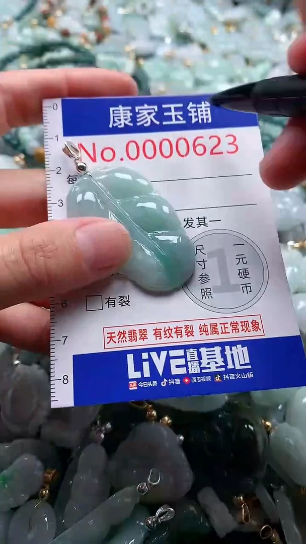 翡翠未镶嵌吊坠(不含链)623