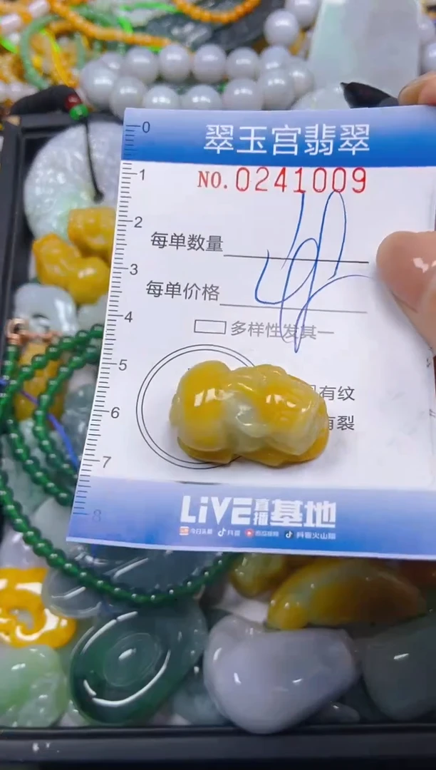 颈饰未镶嵌翡翠闪购C0241009