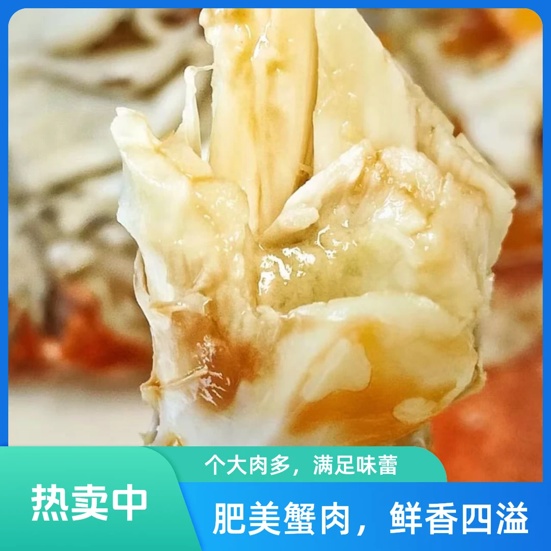 【鲜活发货】渤海湾梭子蟹小1-3两规格一只1-5kg可选择【保鲜不保活】