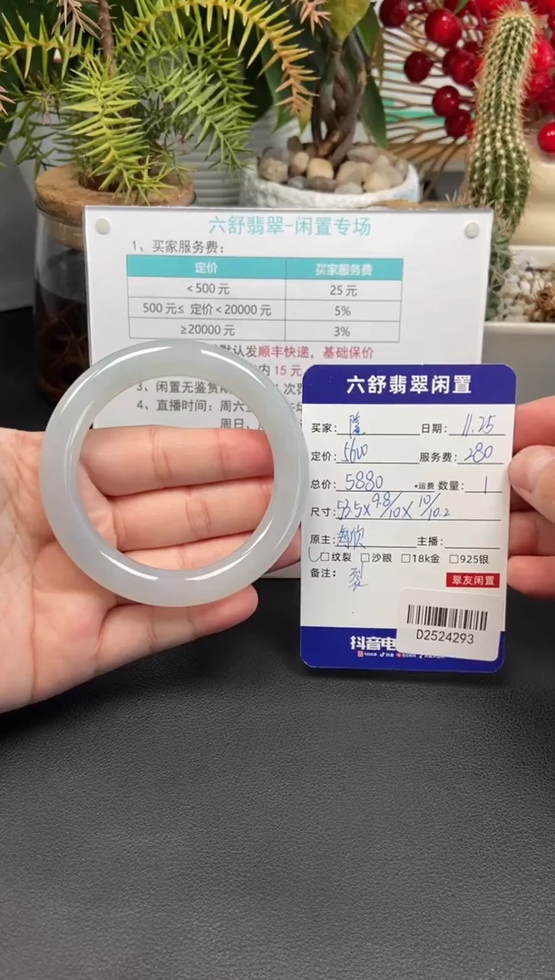 未镶嵌手镯翡翠隆****店D2524293