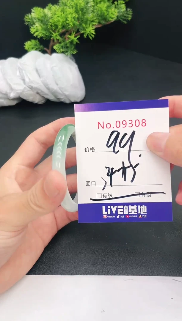 未镶嵌手镯翡翠09308