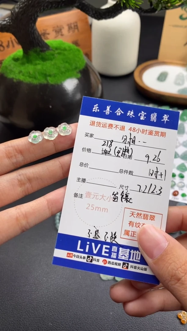 颈饰未镶嵌翡翠勿****～翡翠冰种裸石