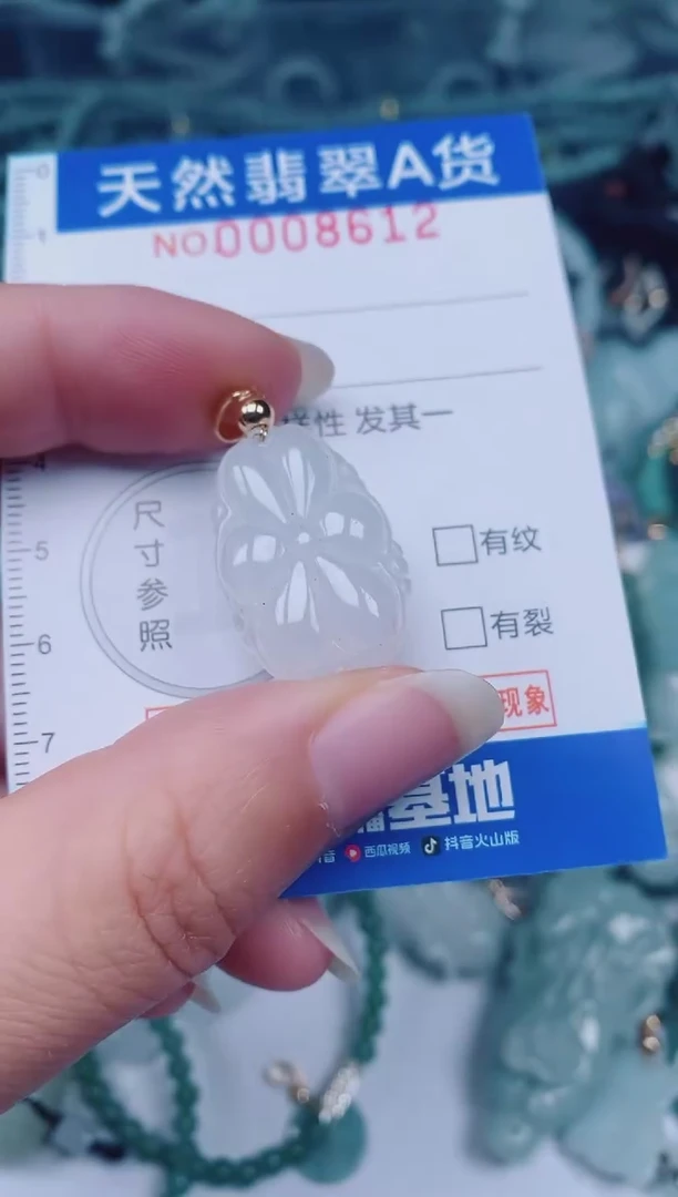 颈饰未镶嵌翡翠00008612