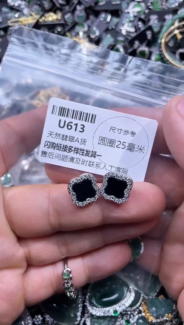 【闪购商品】翡翠颈饰未镶嵌U613耳钉