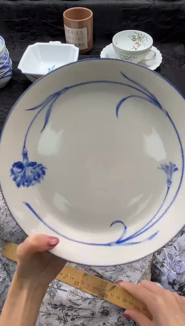 瓷片潘*潘       E597