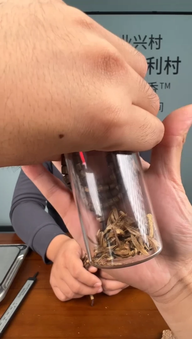 沉香沉香碎屑福利款奇楠沉香多样性发一10-R1