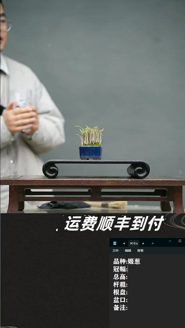 【闪购商品】1  姬葱