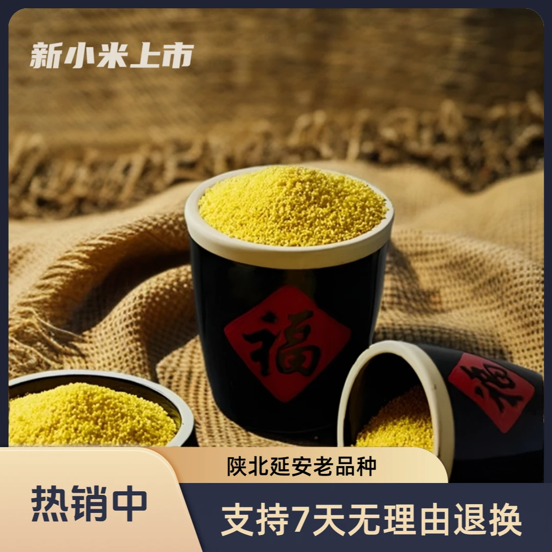 2025陕北黄小米月子米宝宝米5斤10斤装