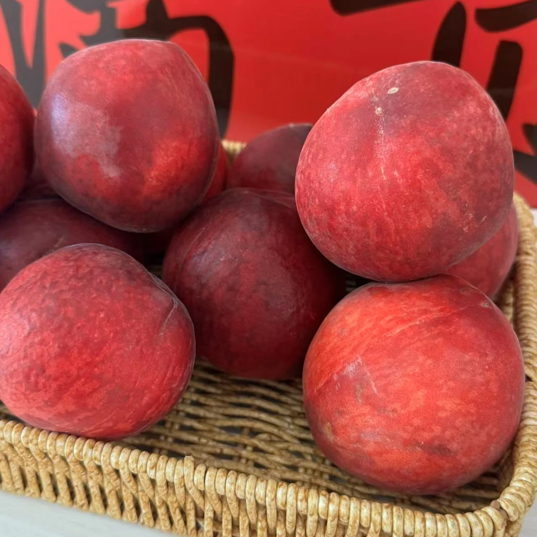 【春雪桃】新鲜桃子现摘5斤春雪桃脆甜可口好吃当季时令水果