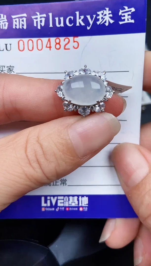 翡翠银S925镶嵌颈饰4825