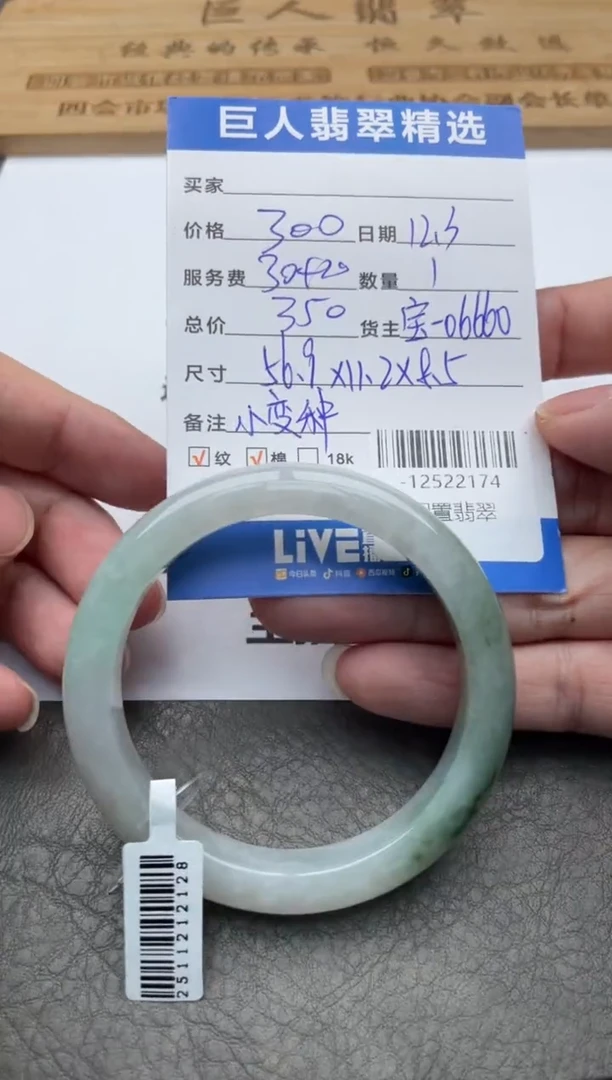 颈饰未镶嵌翡翠手镯多人-12522174