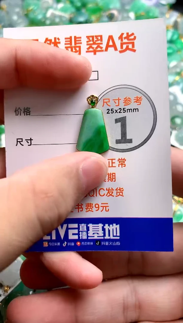颈饰18K金镶嵌翡翠0919128511
