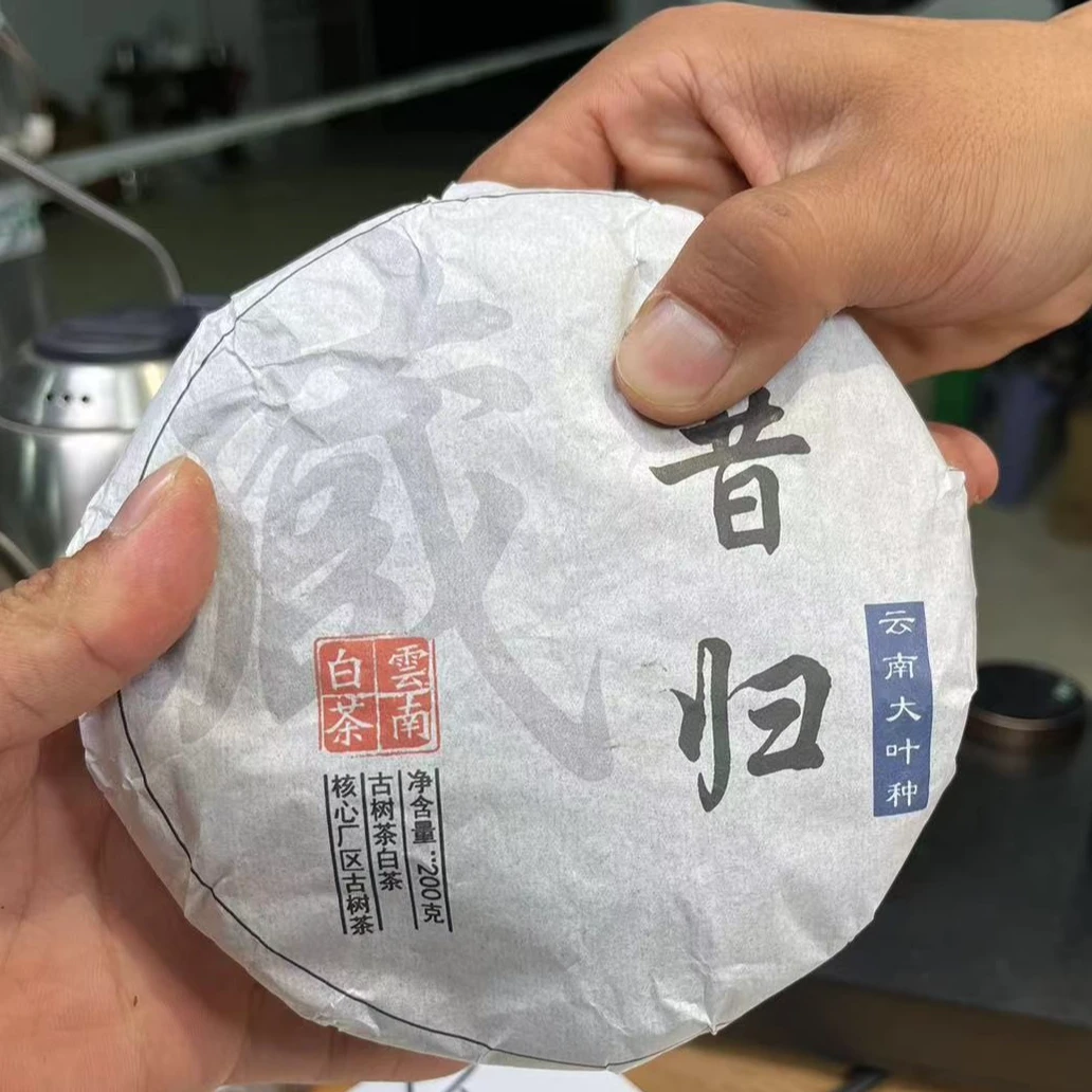 (CN514)cf/2023年头春/临沧昔归忙鹿山中树/白茶/200g饼