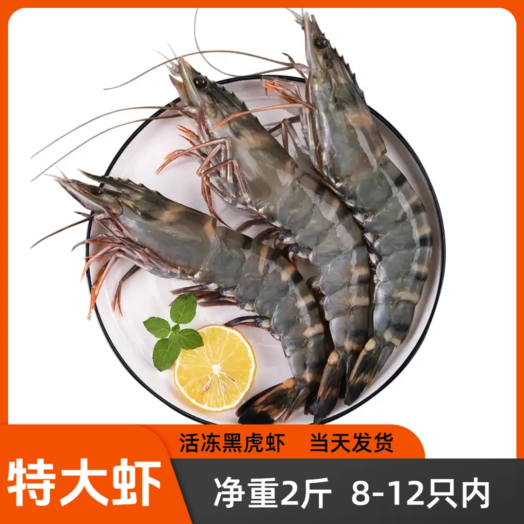 【国产 黑金刚】8/12活冻大黑虎虾 无黑头活虾速冻 老虎虾班节对虾