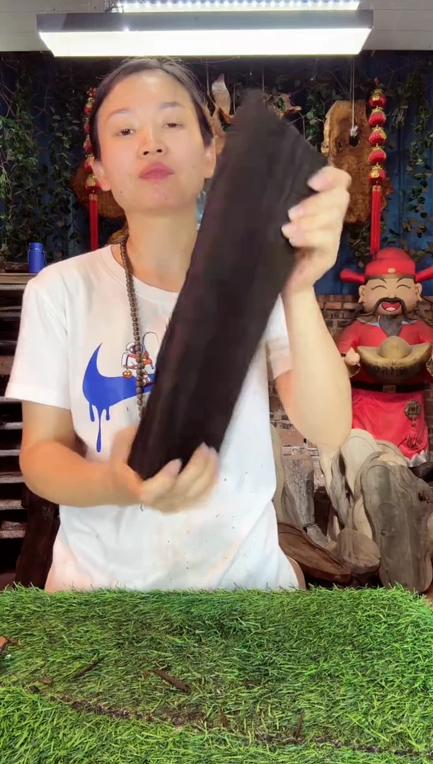 金丝楠小叶祯楠531