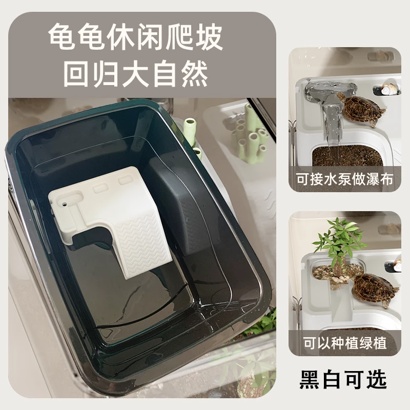 乌龟发色幼龟繁殖孵化蛋龟加温黑白隔离龟苗乌龟饲养盒
