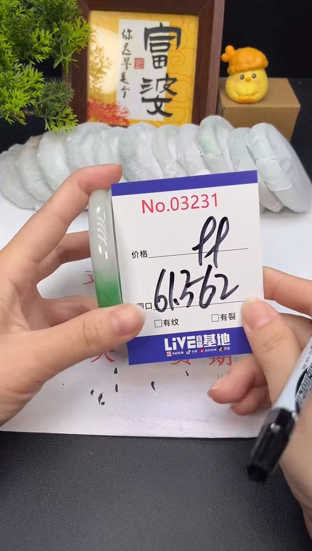 未镶嵌手镯翡翠3231