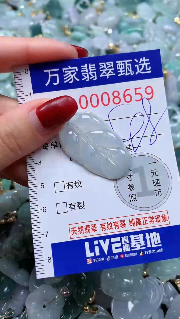 颈饰未镶嵌翡翠8659