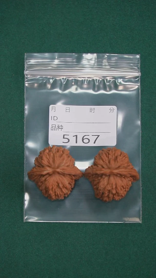 把件文玩核桃用****640黑山楼