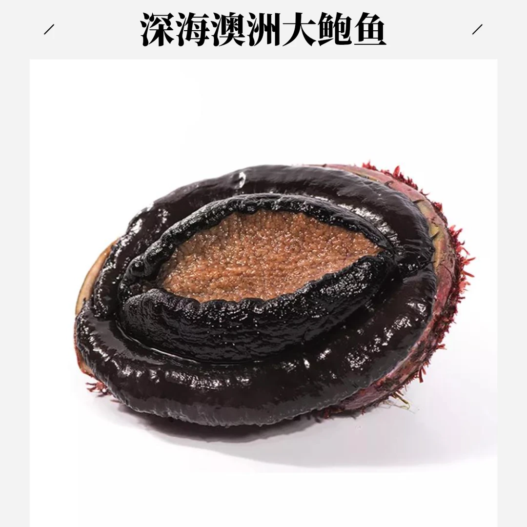 【预售】鲜活澳洲大鲍鱼 来自深海 自然生长