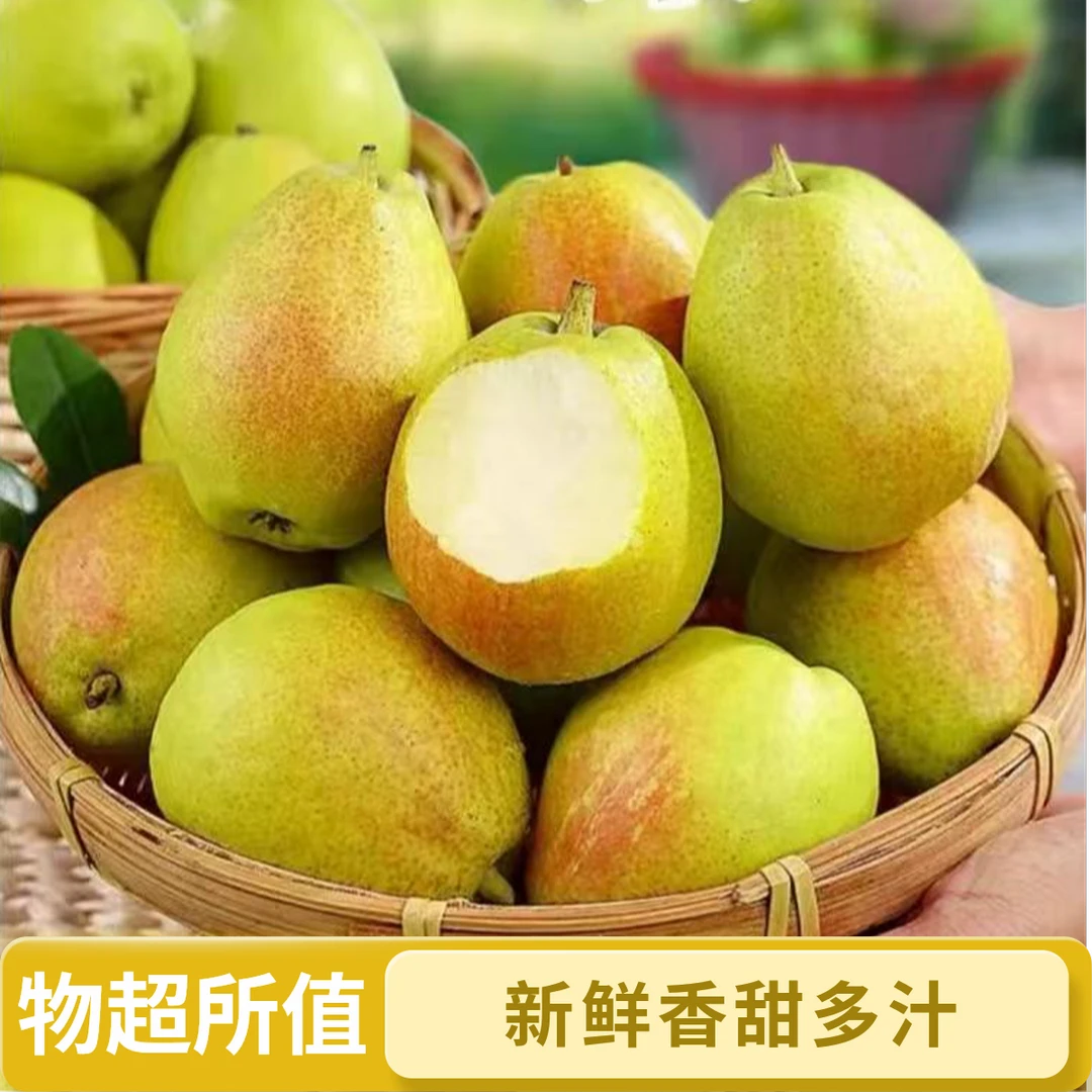 【产地直发】新疆库尔勒香梨6斤装