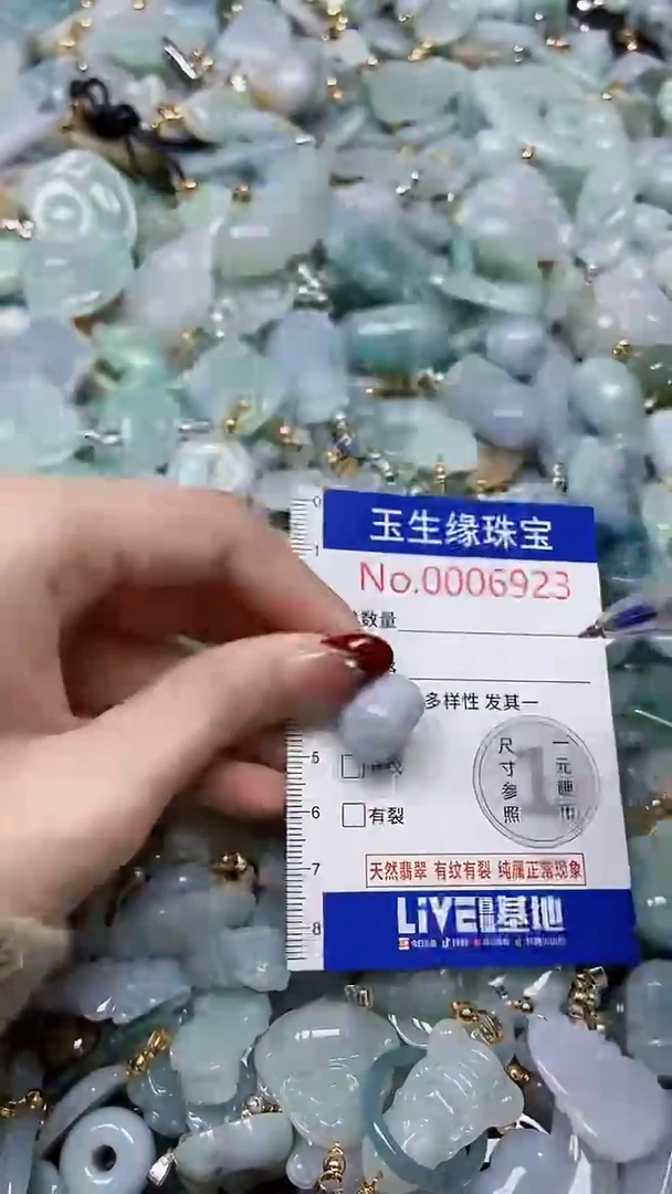 【闪购商品】翡翠颈饰未镶嵌闪购00006923