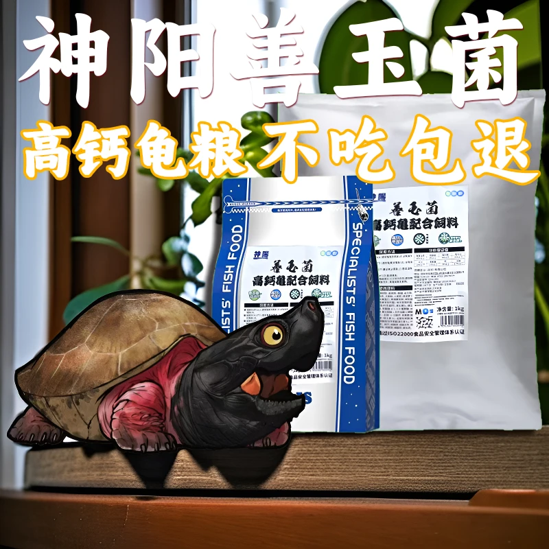 草龟饲料悖论巴西龟新款龟粮官方正品乌龟专用精品乌龟喂食的正确