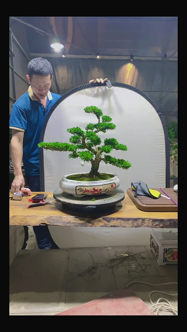 完全开放临****厂11111111111