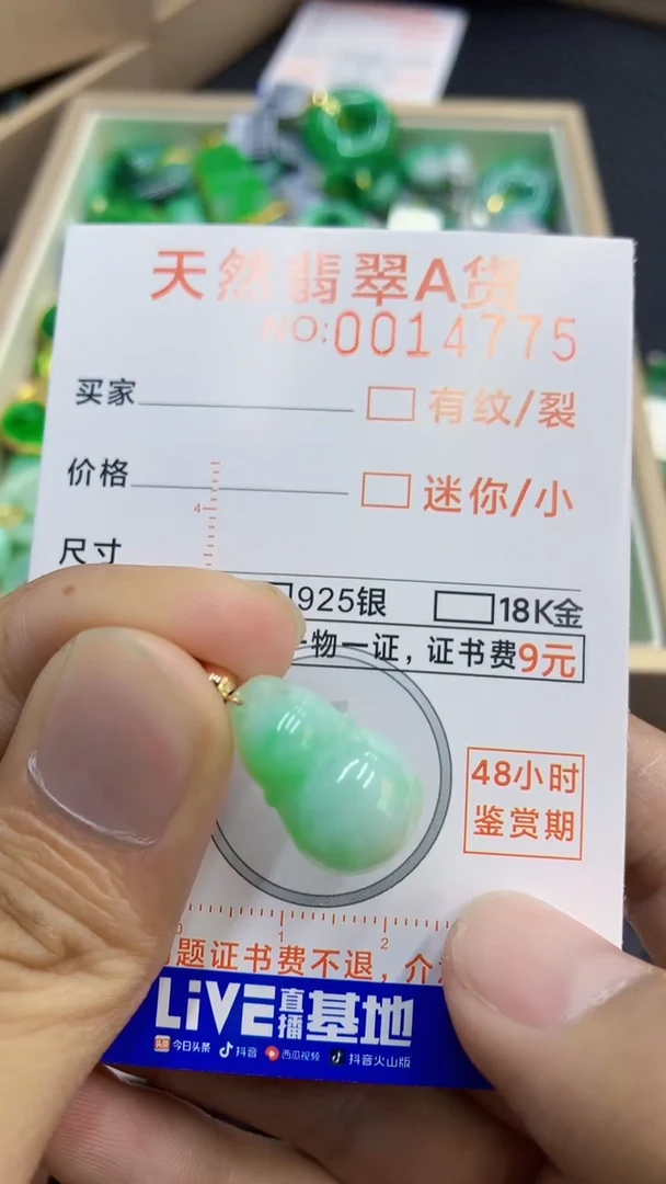 翡翠未镶嵌吊坠(不含链)1