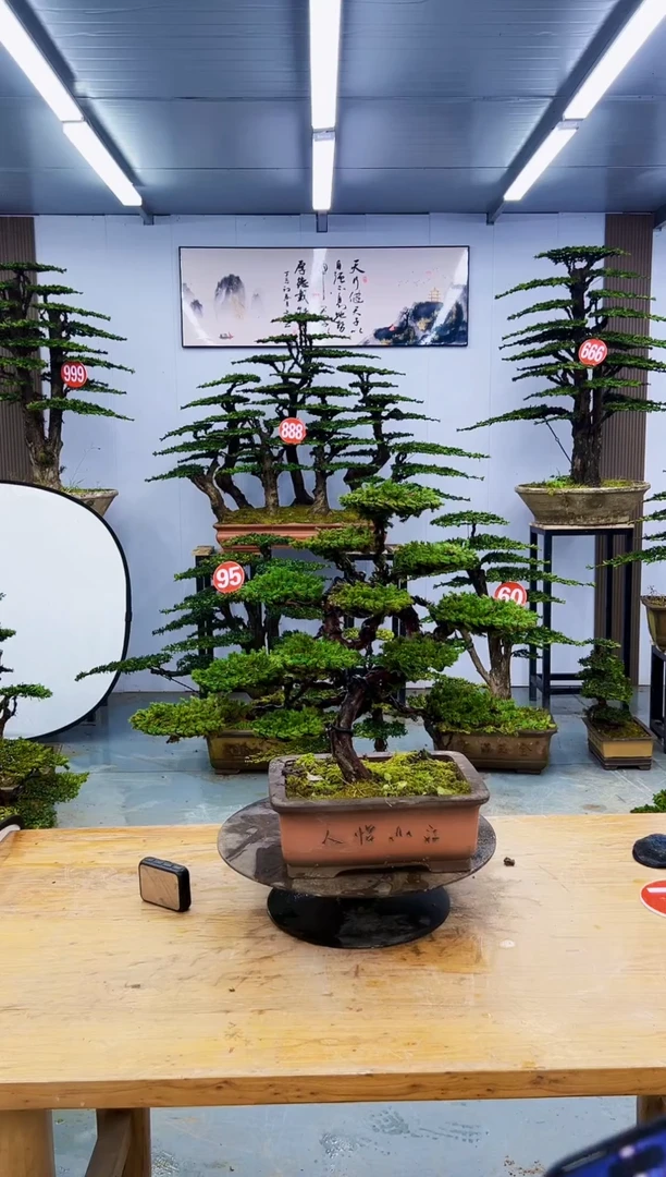 以实际为准000000000