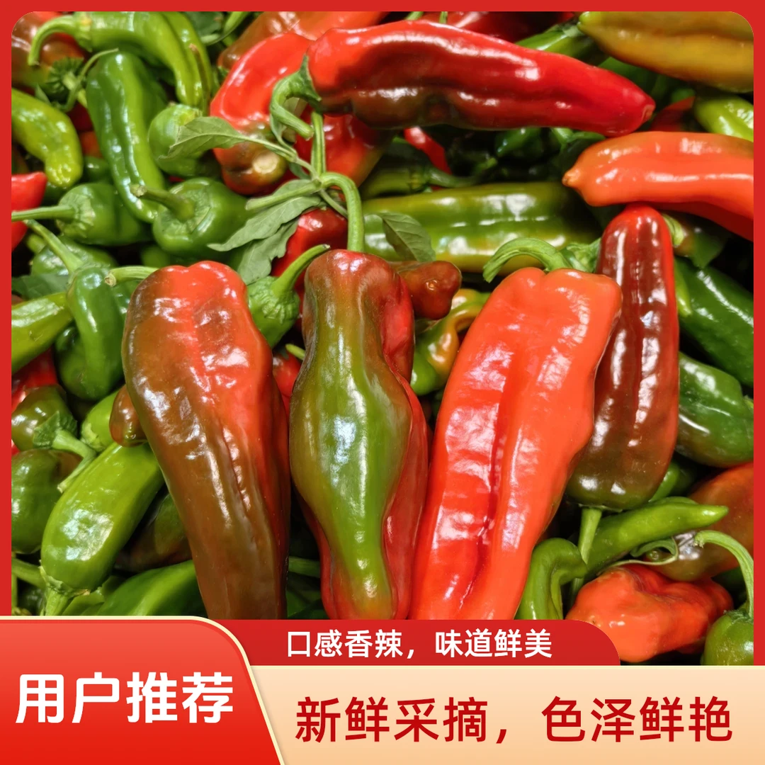 【彩花椒5斤】农家种植青紫彩花椒彩虹椒新鲜现摘饱满汁厚花辣椒