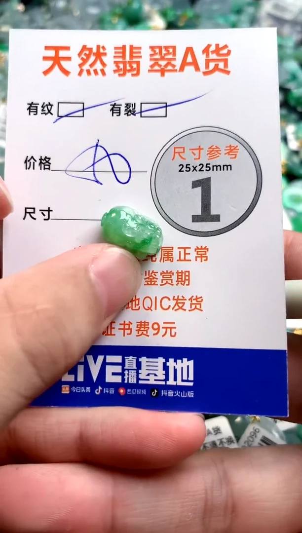 颈饰未镶嵌翡翠14003988