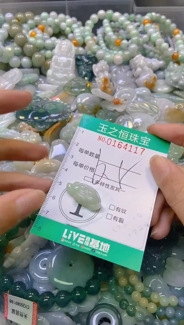 颈饰未镶嵌翡翠闪购0164117