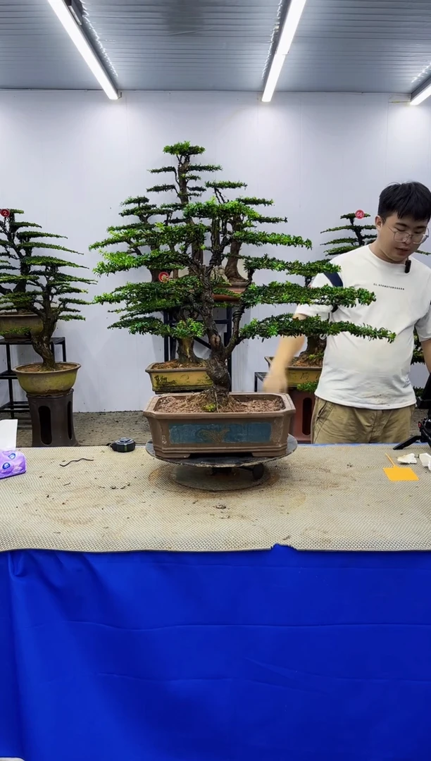 无花朵一物一拍，所见即所得