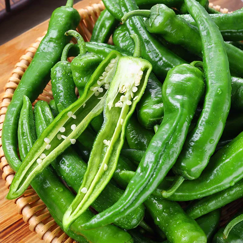 东北吉林辣妹子辣椒特辣辣妹子薄皮辣椒土辣椒下饭菜