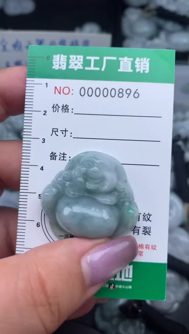 翡翠未镶嵌颈饰缅甸天然A货翡翠0896