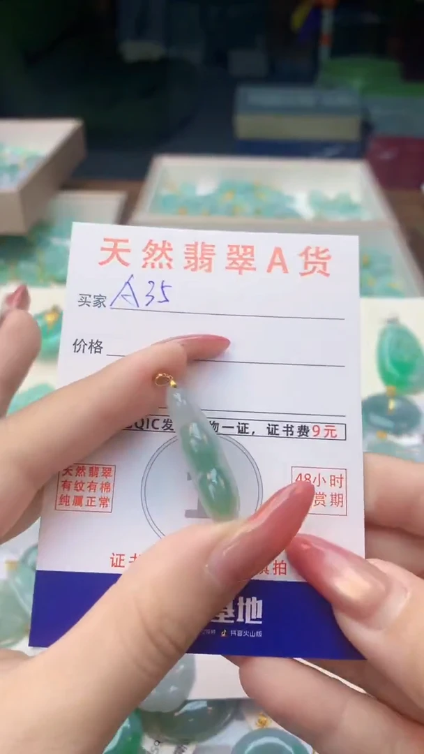 颈饰未镶嵌翡翠纯天然翡翠A货挂件