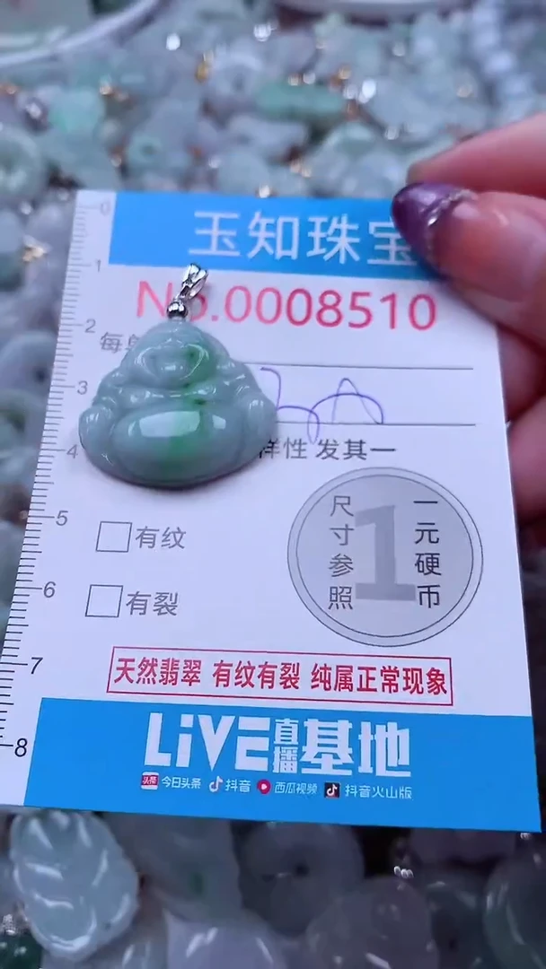 翡翠未镶嵌吊坠(不含链)8510