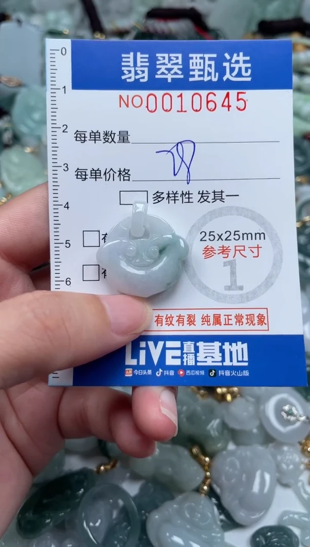 颈饰未镶嵌翡翠10645