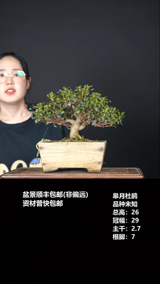 无花朵F**4品种未知-G5409