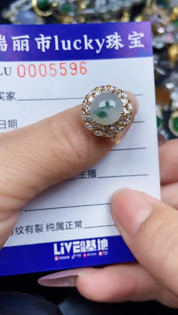 翡翠银S925镶嵌颈饰5596