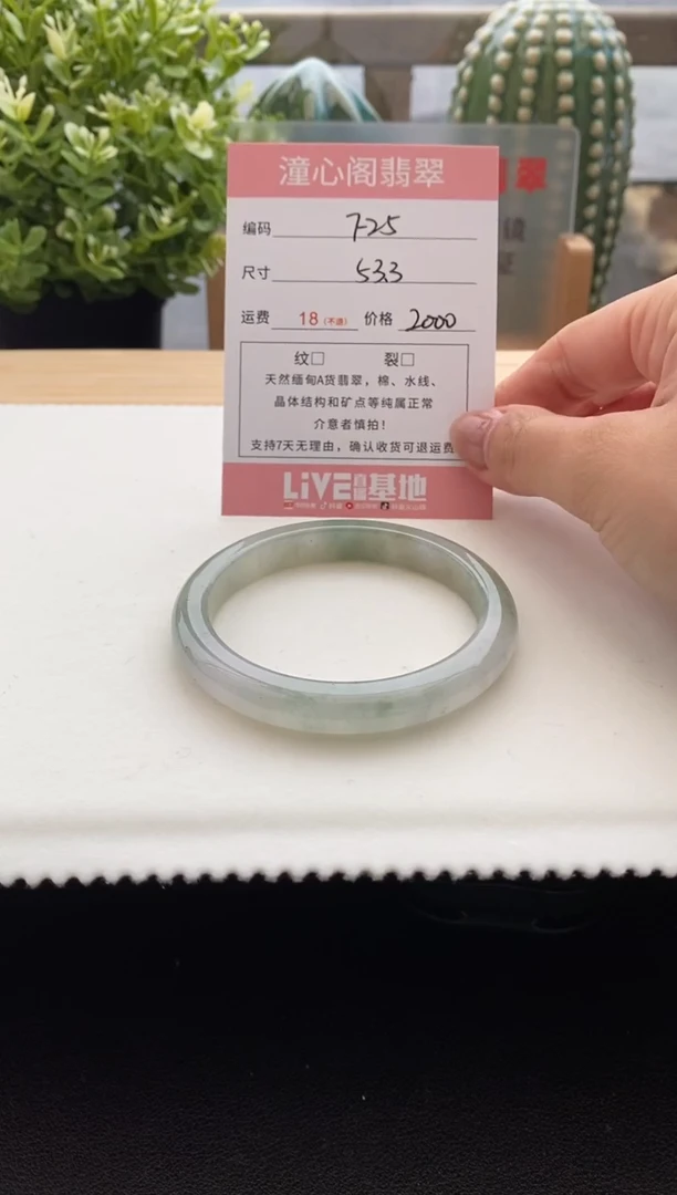 未镶嵌手镯翡翠53.5圈口 编码 F25